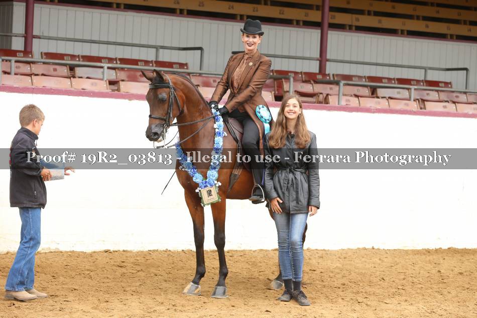 Proof 19R2_03813