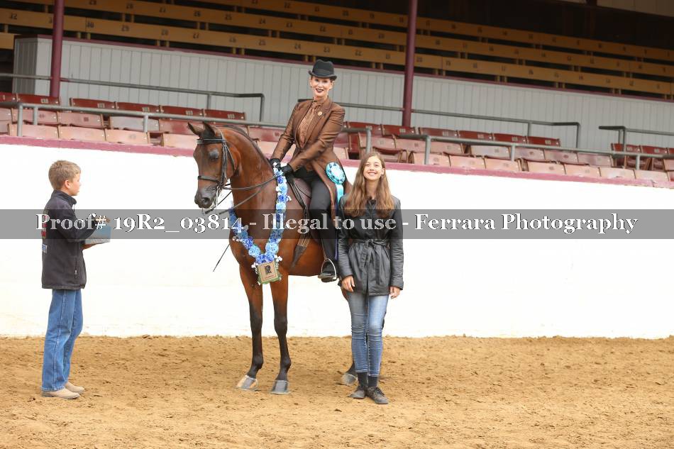 Proof 19R2_03814