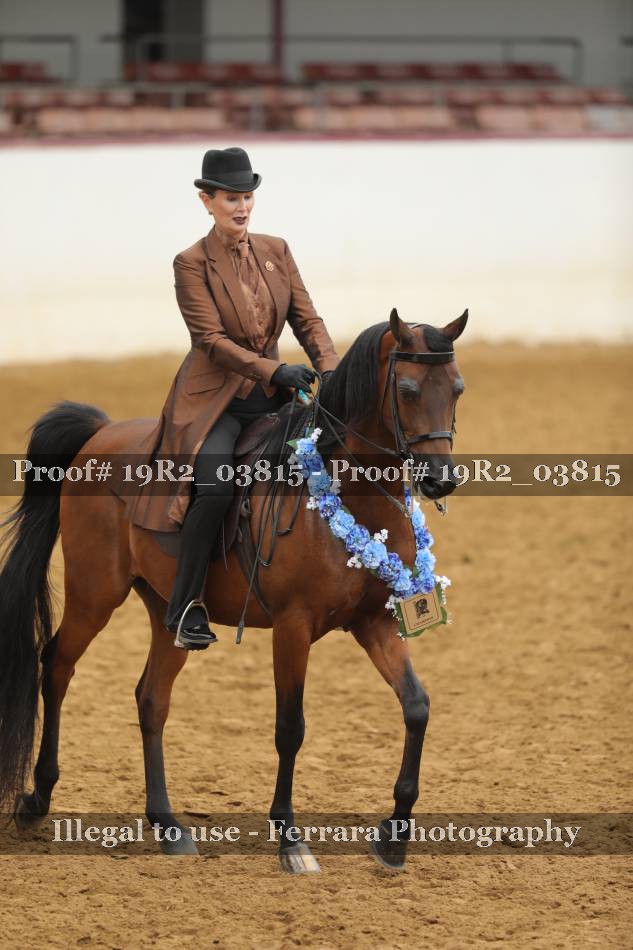 Proof 19R2_03815