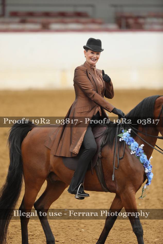Proof 19R2_03817