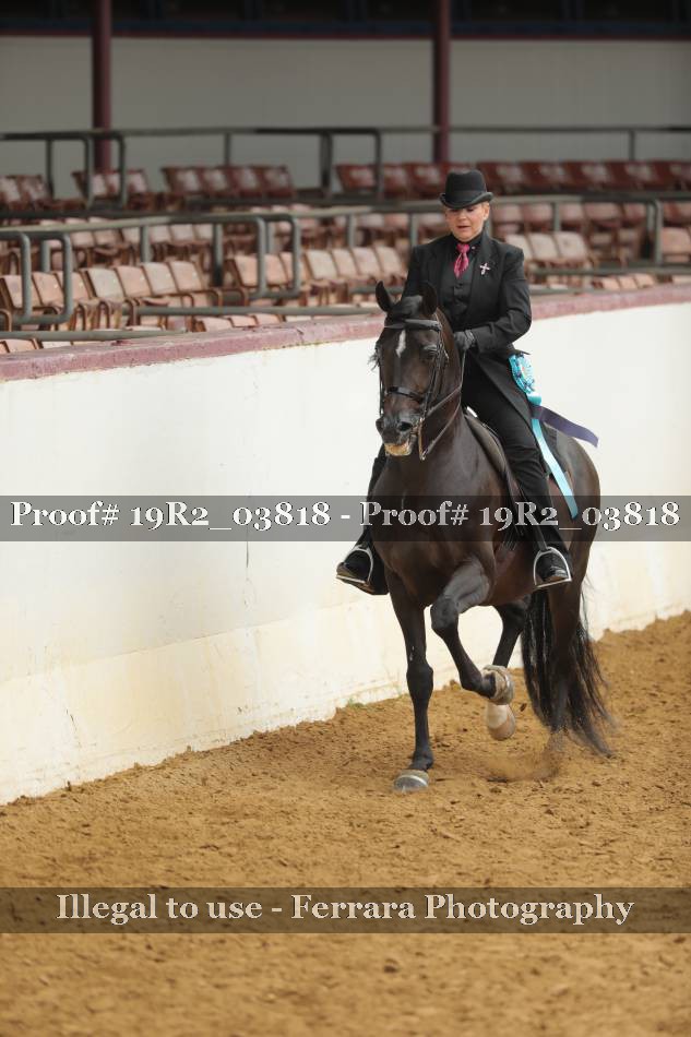 Proof 19R2_03818