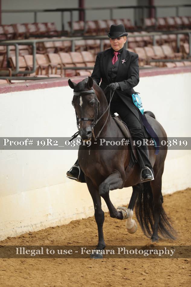 Proof 19R2_03819