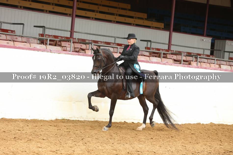 Proof 19R2_03820