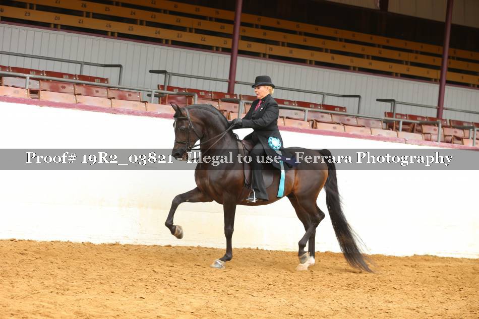 Proof 19R2_03821