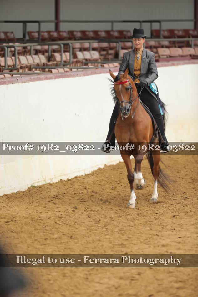 Proof 19R2_03822