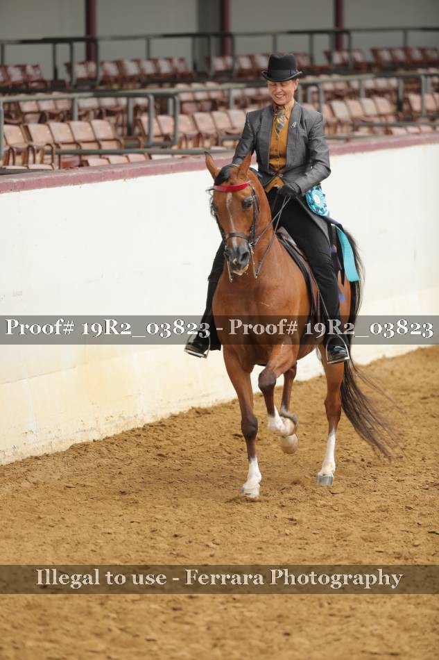 Proof 19R2_03823