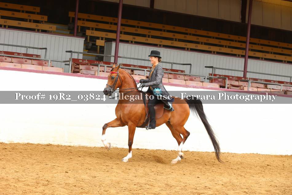 Proof 19R2_03824