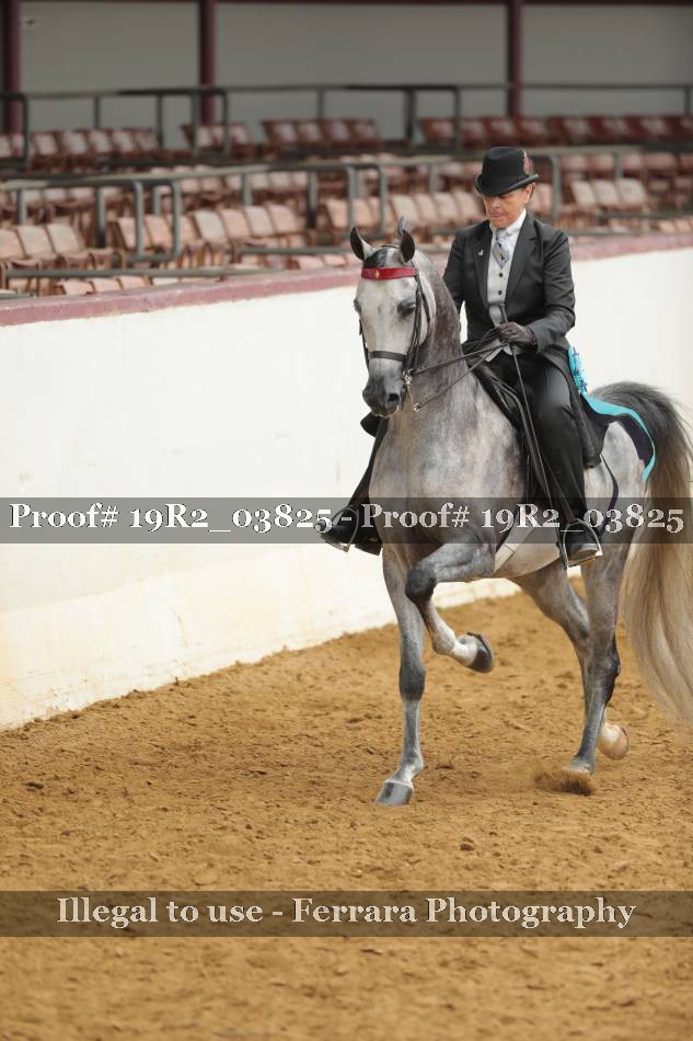 Proof 19R2_03825