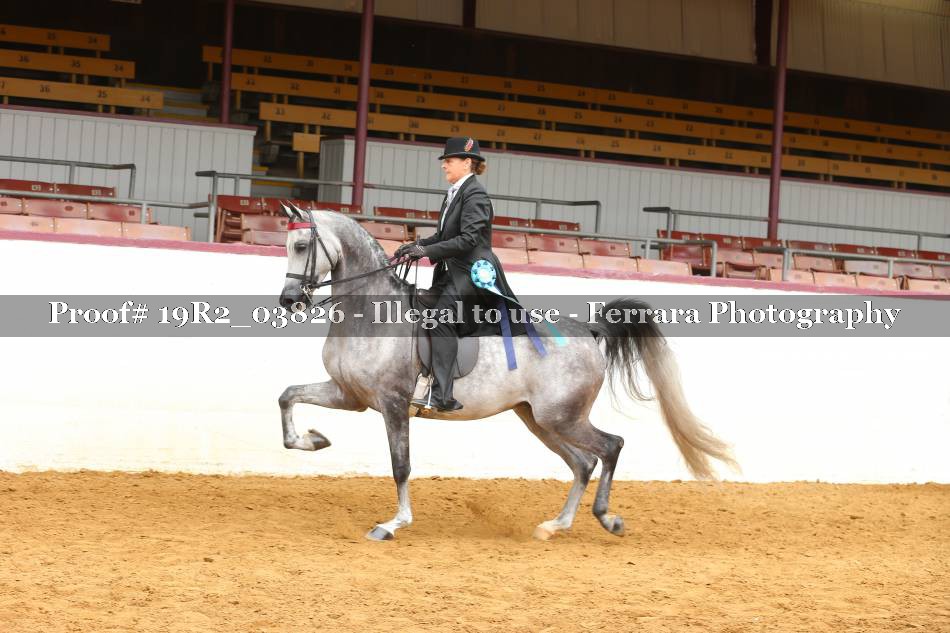 Proof 19R2_03826