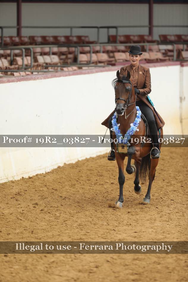 Proof 19R2_03827