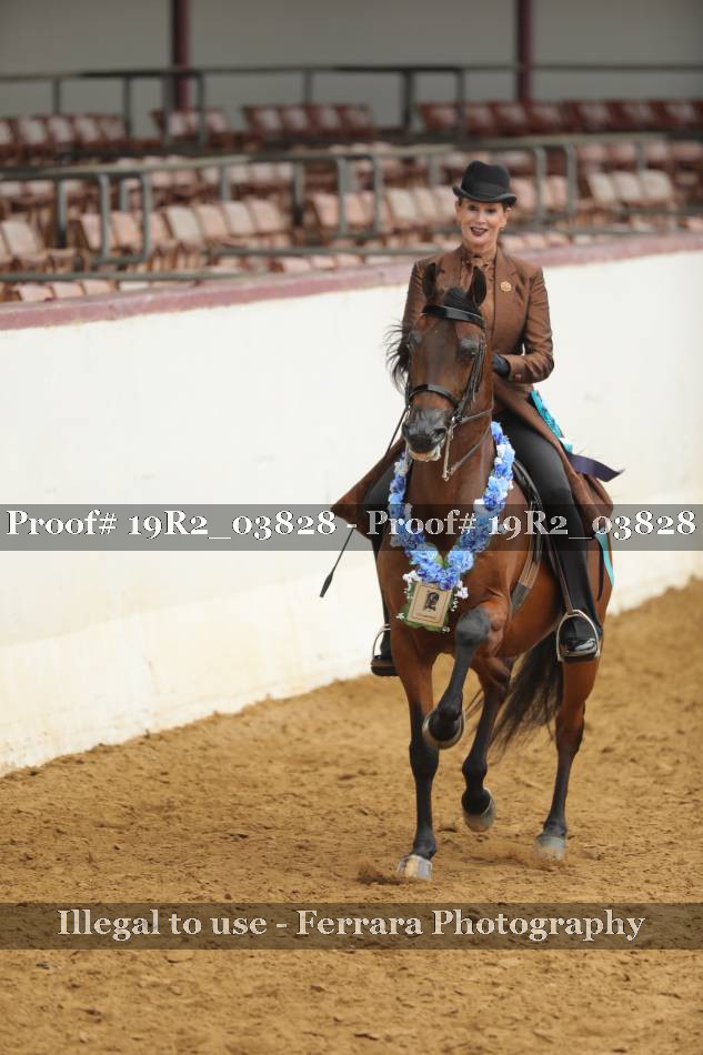 Proof 19R2_03828