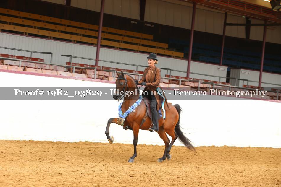 Proof 19R2_03829