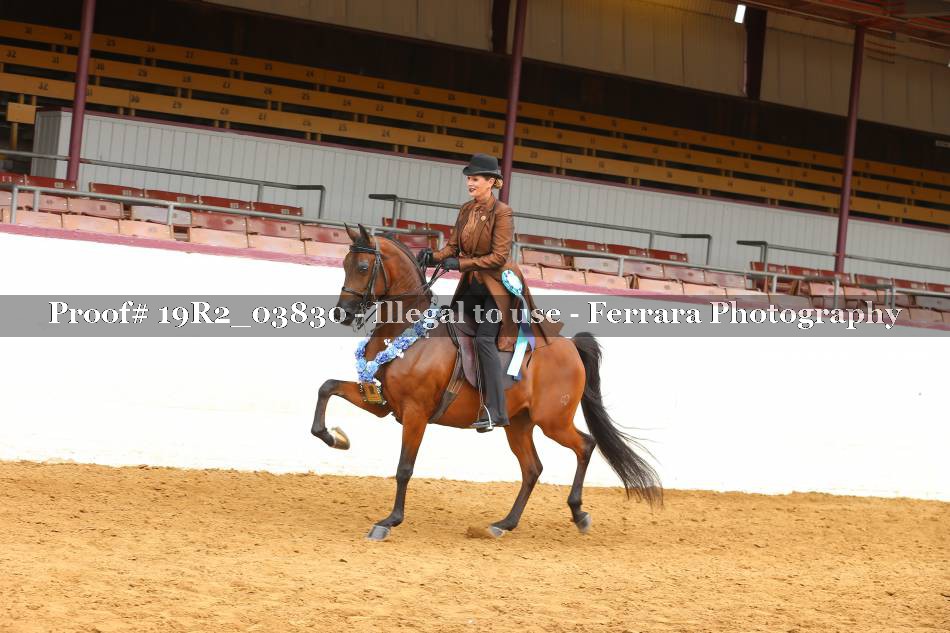Proof 19R2_03830
