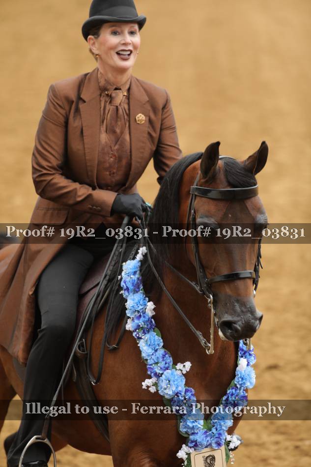 Proof 19R2_03831