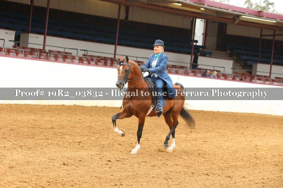 Proof 19R2_03832