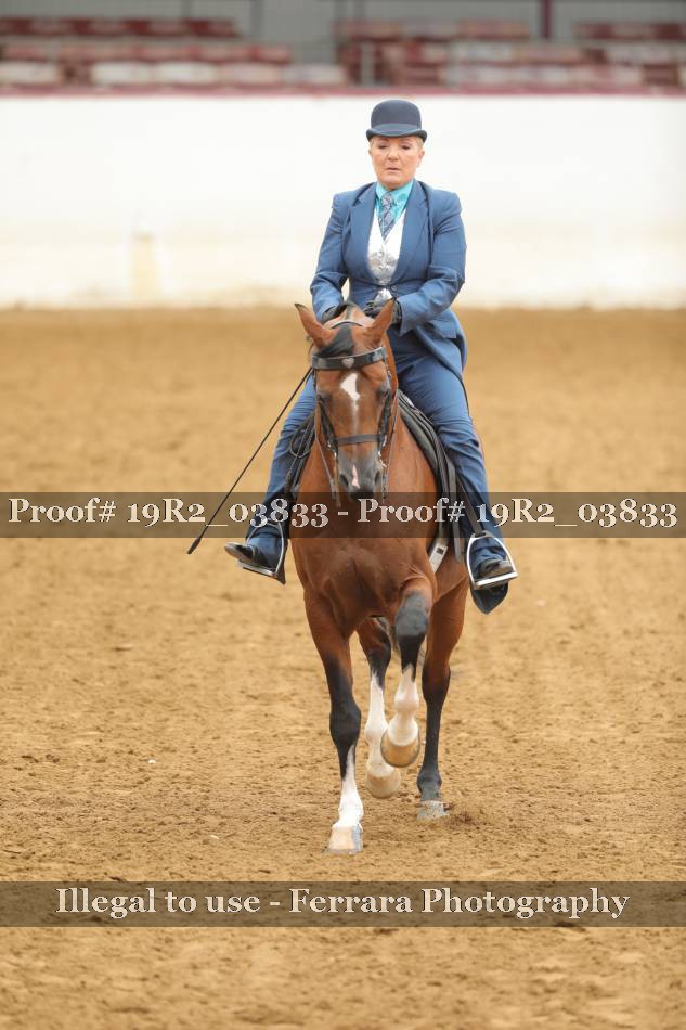 Proof 19R2_03833