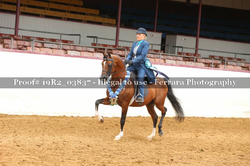 Proof 19R2_03837