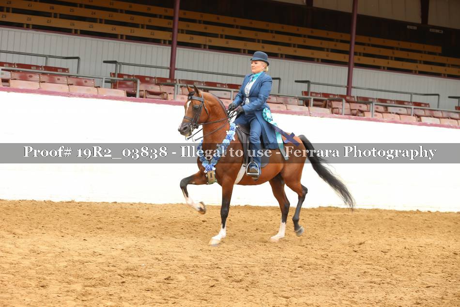Proof 19R2_03838