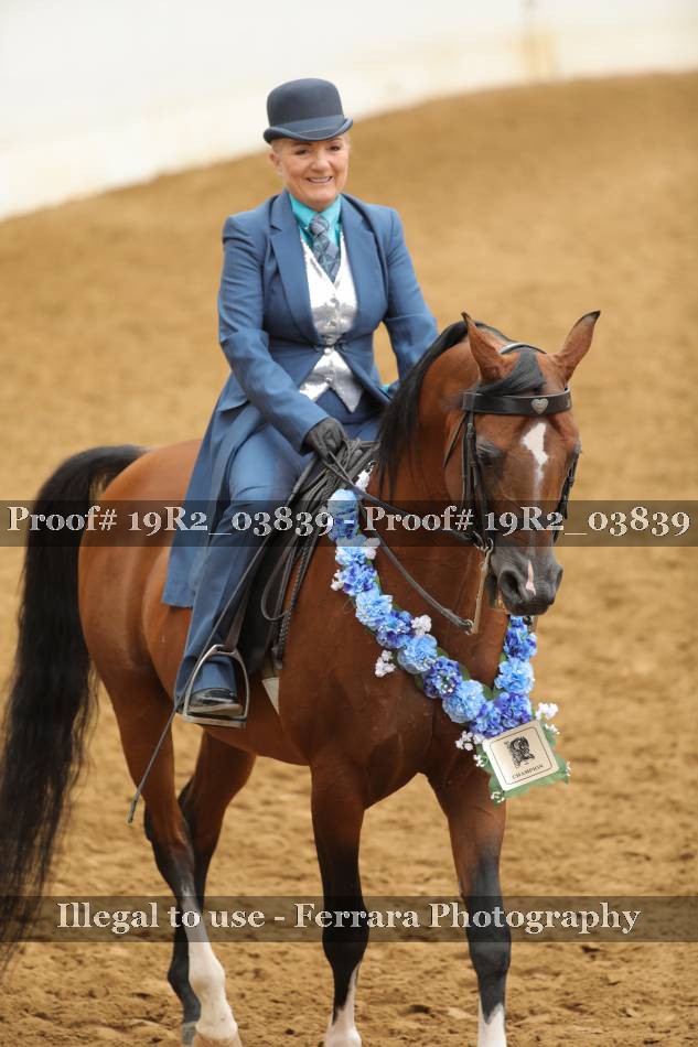 Proof 19R2_03839