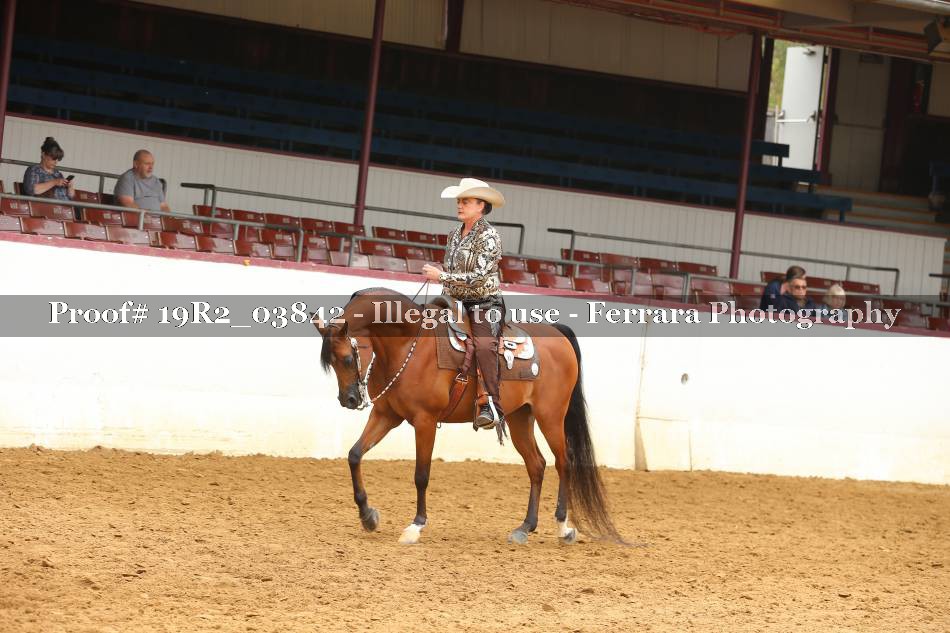 Proof 19R2_03842