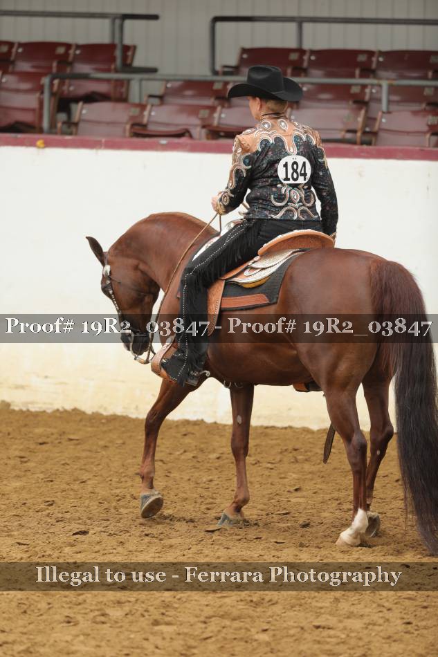 Proof 19R2_03847