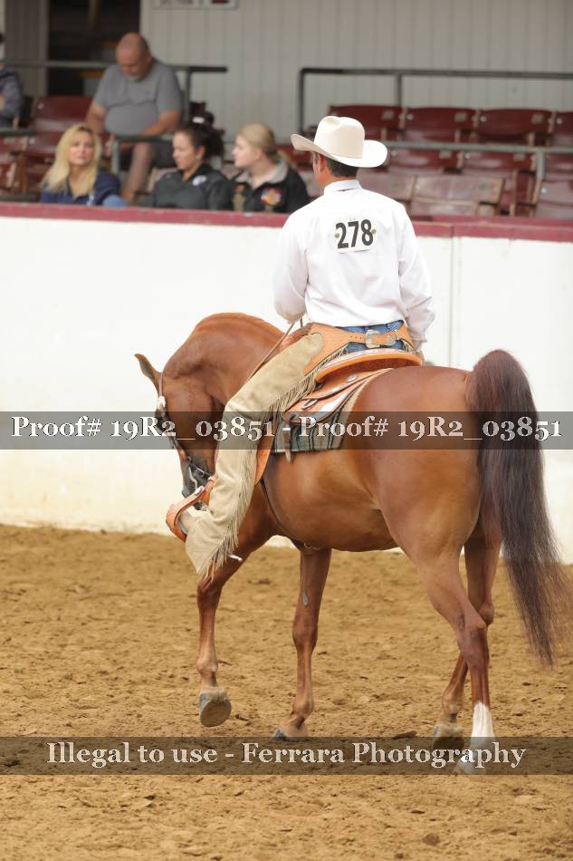 Proof 19R2_03851