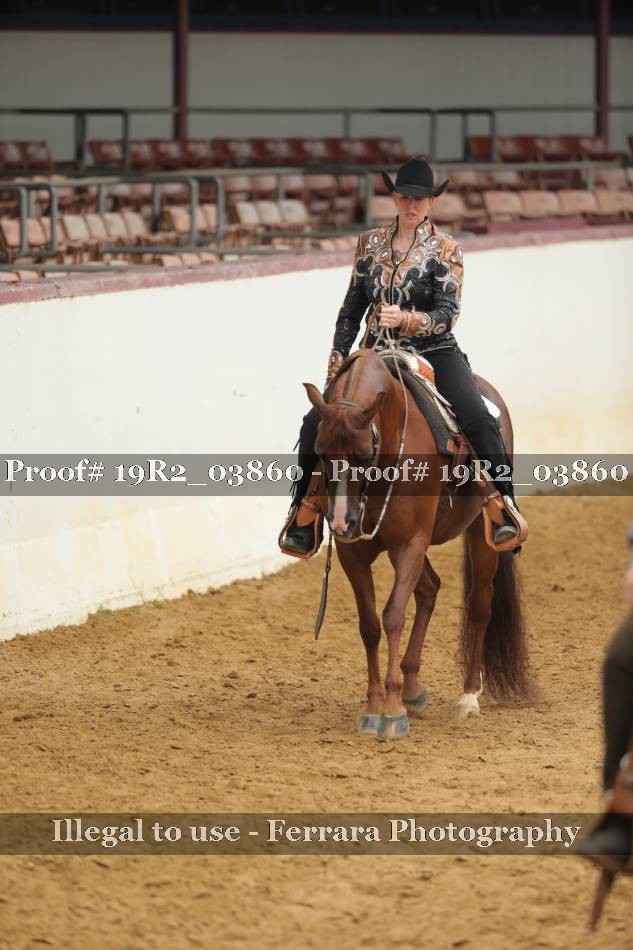 Proof 19R2_03860