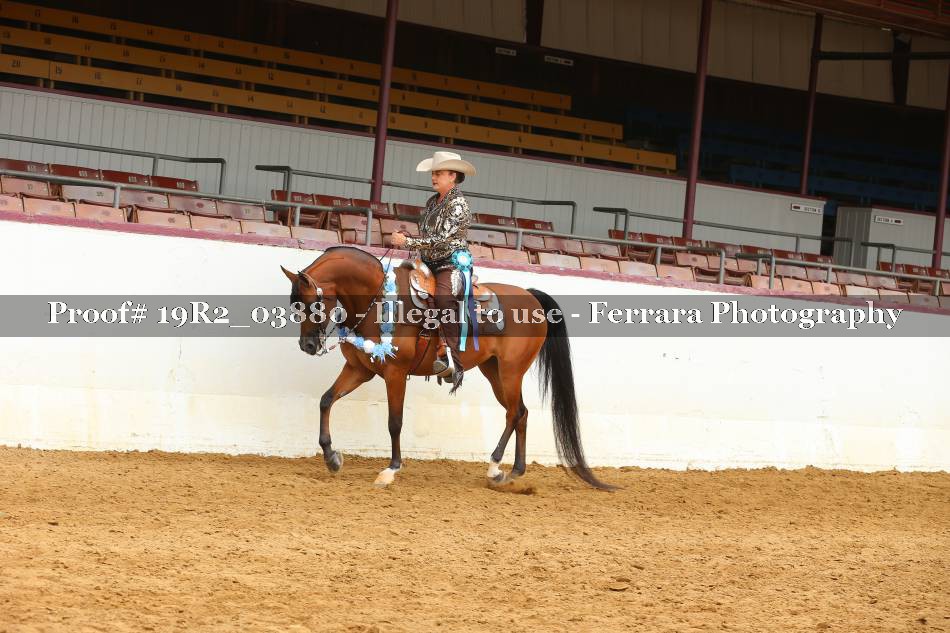 Proof 19R2_03880