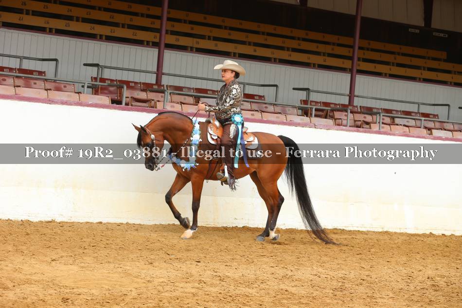 Proof 19R2_03881