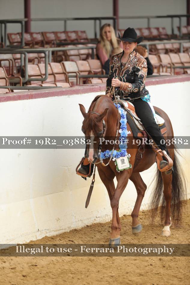 Proof 19R2_03882