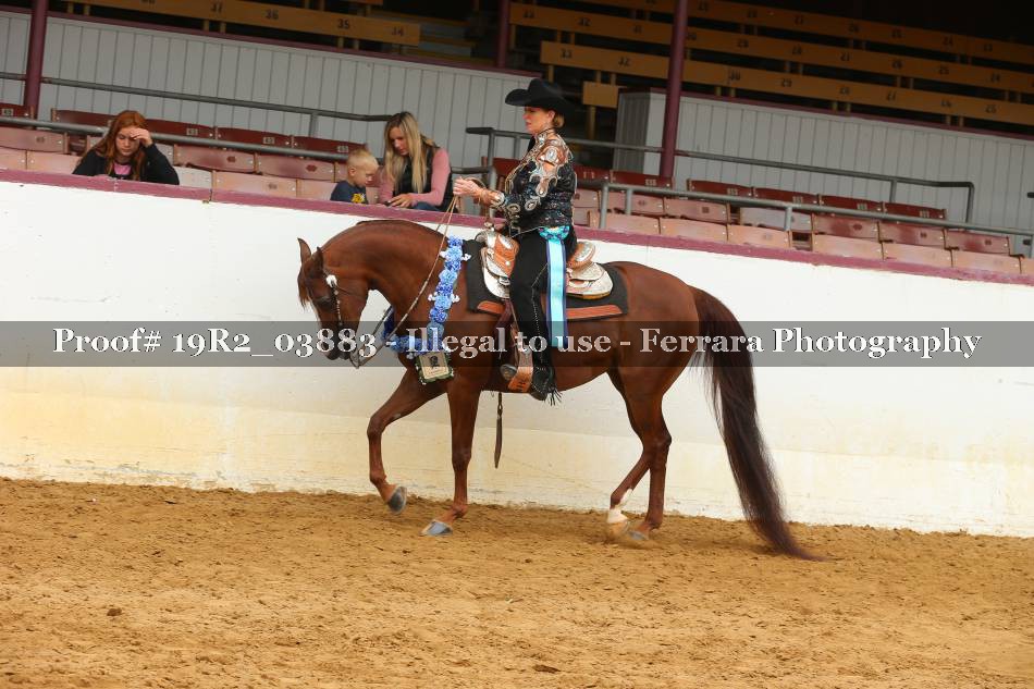 Proof 19R2_03883