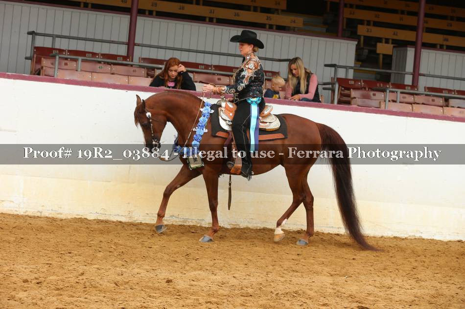 Proof 19R2_03884