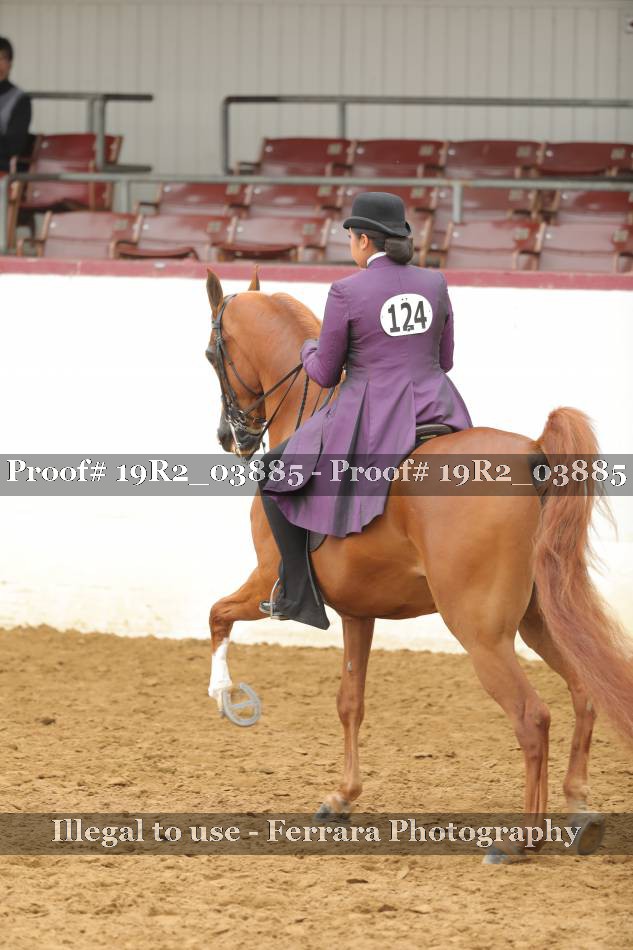 Proof 19R2_03885