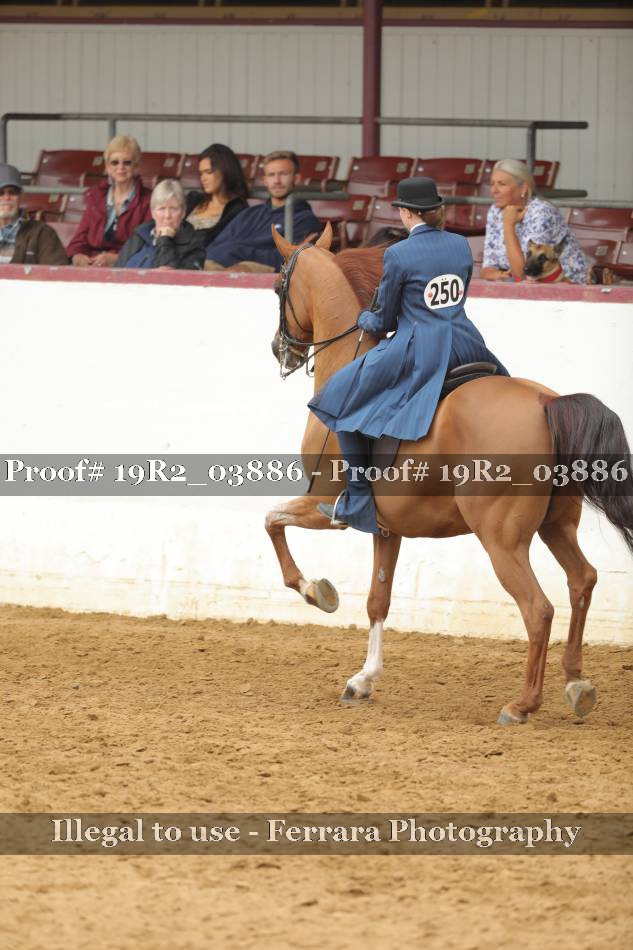 Proof 19R2_03886