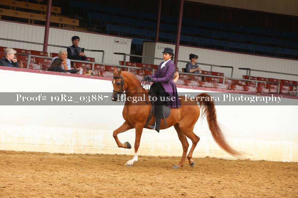 Proof 19R2_03887