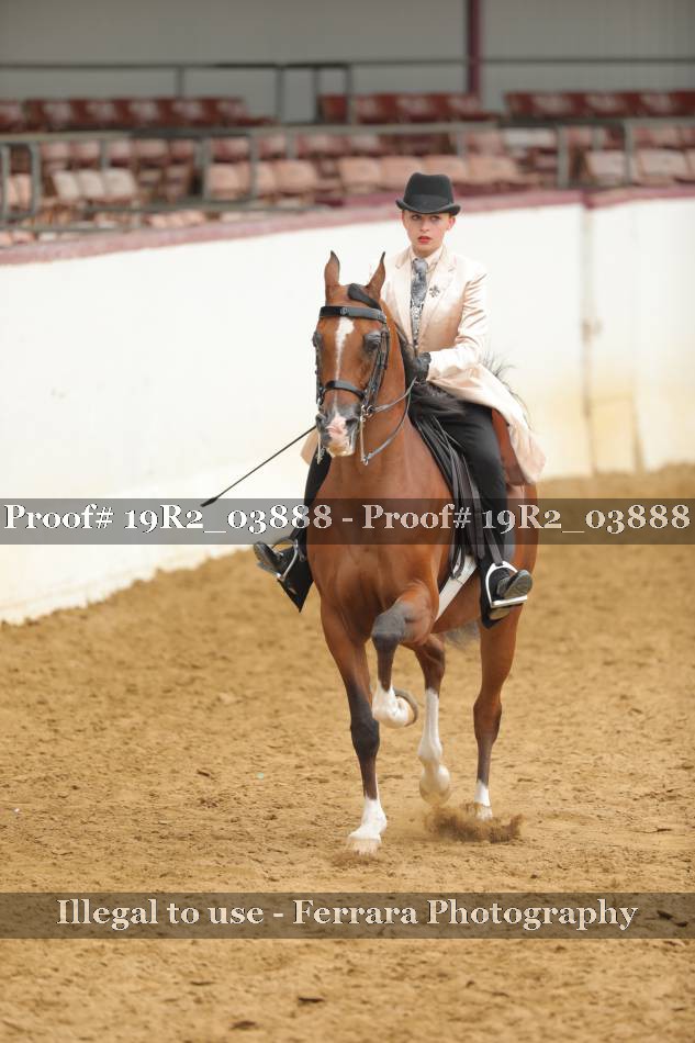 Proof 19R2_03888