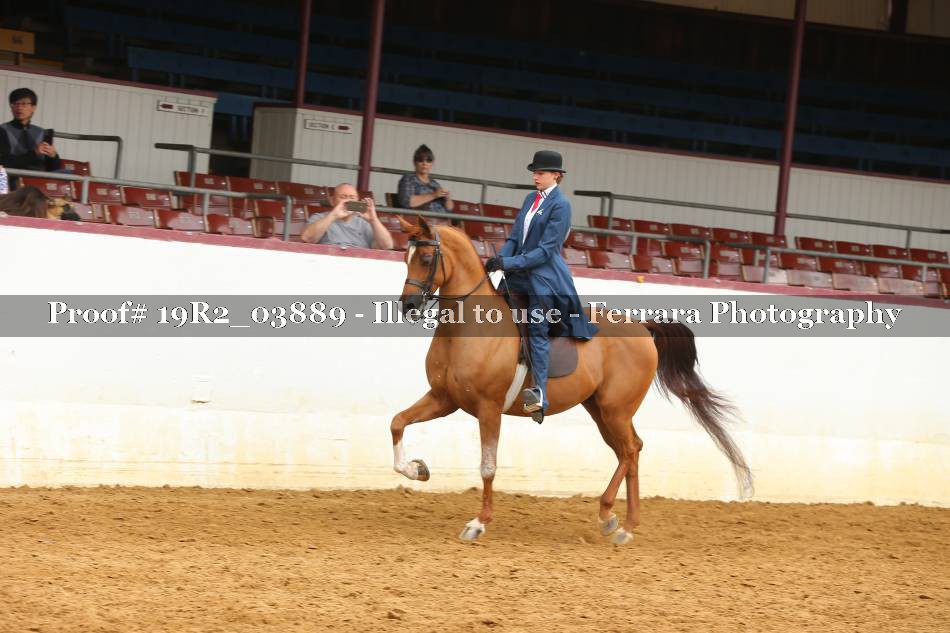 Proof 19R2_03889