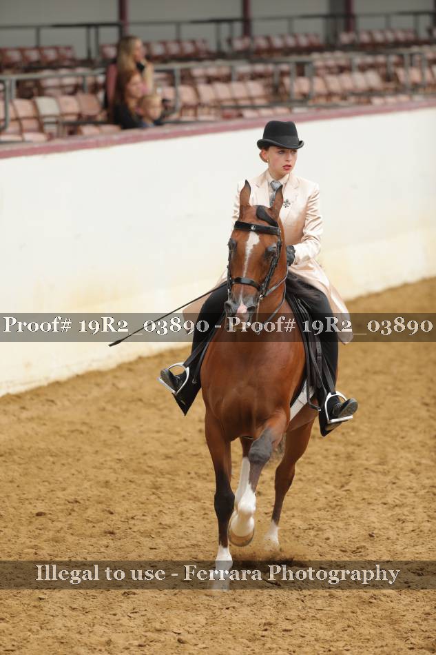 Proof 19R2_03890