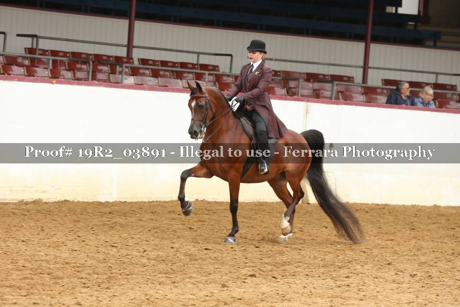 Proof 19R2_03891