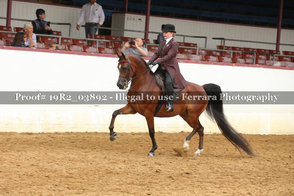 Proof 19R2_03892