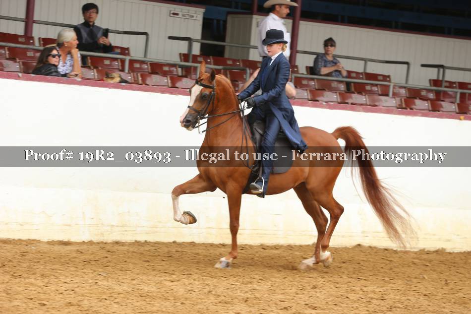 Proof 19R2_03893