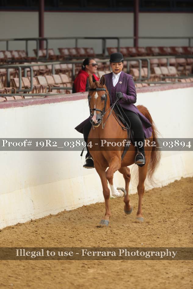 Proof 19R2_03894