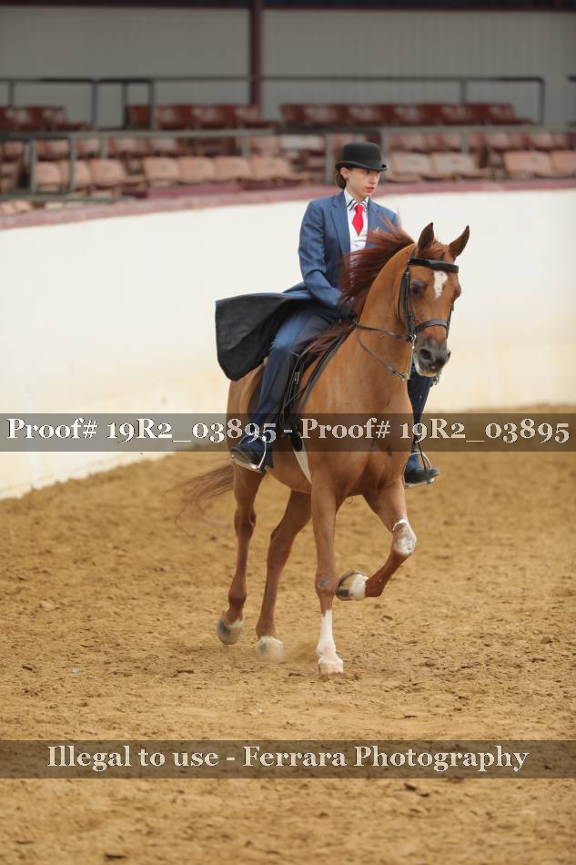 Proof 19R2_03895