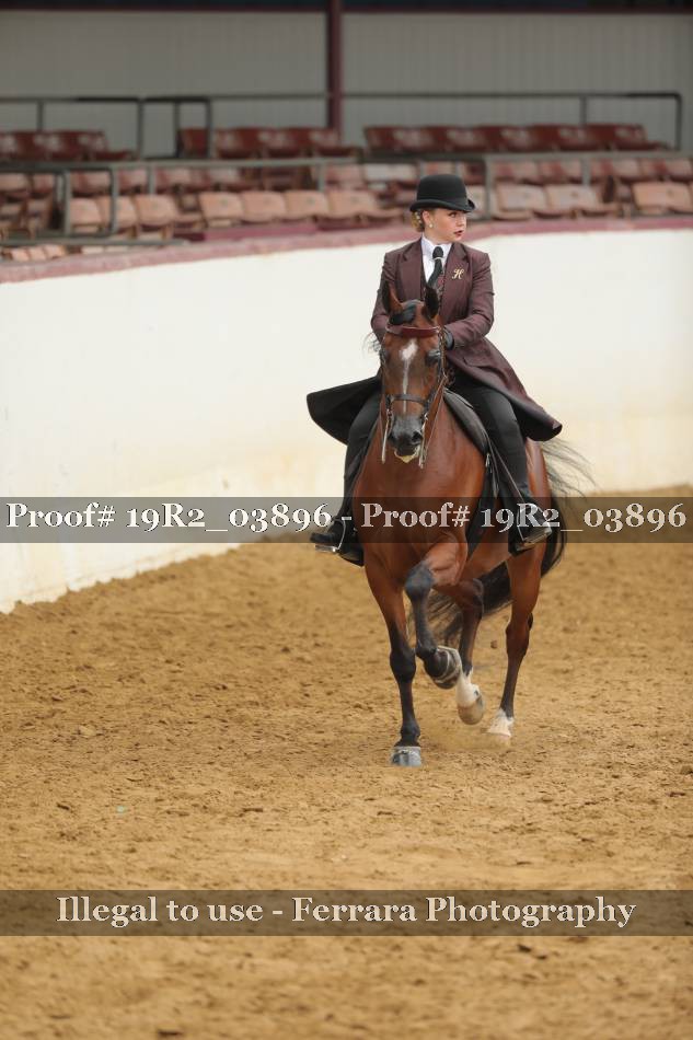 Proof 19R2_03896