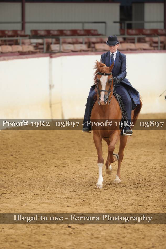 Proof 19R2_03897