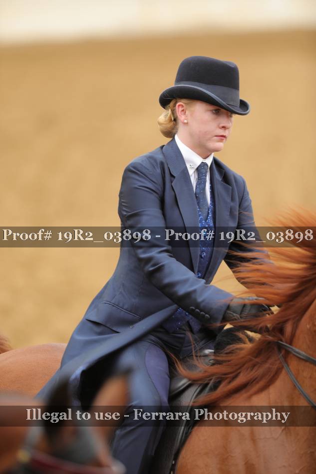 Proof 19R2_03898