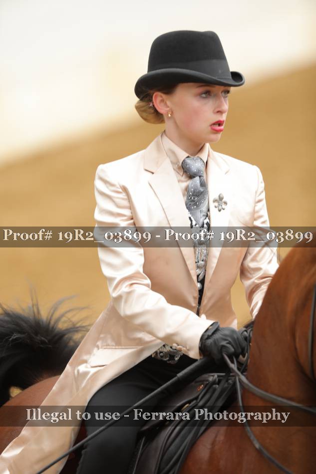 Proof 19R2_03899