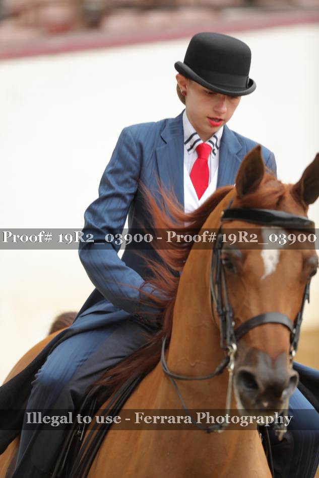 Proof 19R2_03900