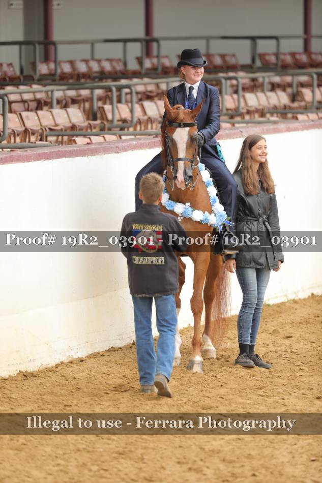 Proof 19R2_03901