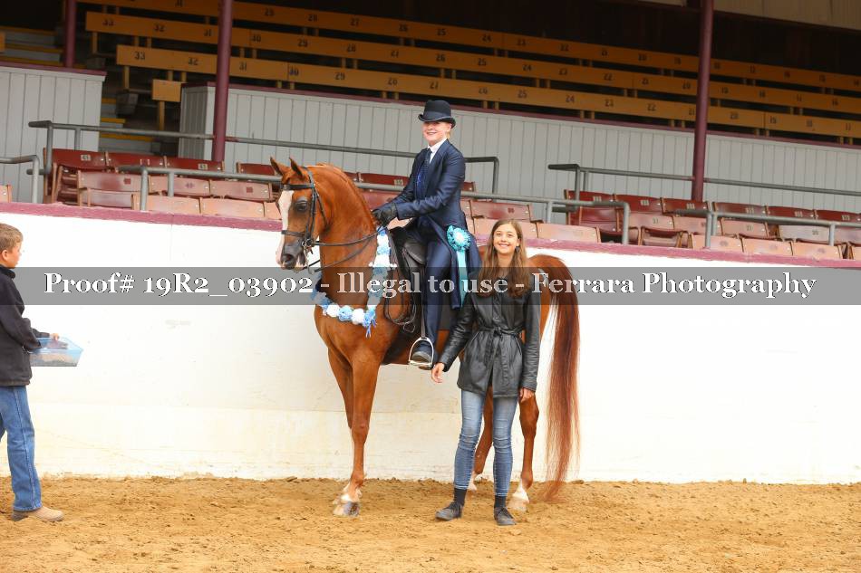 Proof 19R2_03902